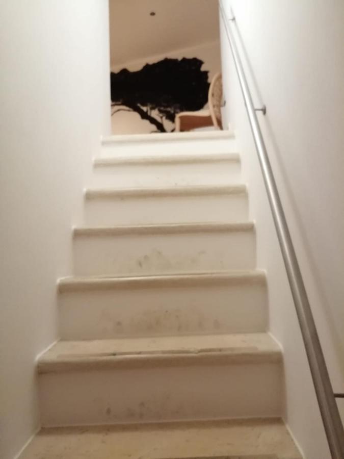 コンヴェルサーノ Rosa'S Houseヴィラ エクステリア 写真