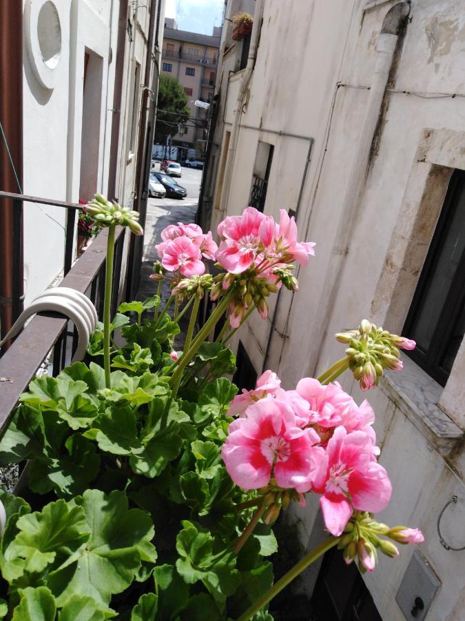 コンヴェルサーノ Rosa'S Houseヴィラ エクステリア 写真